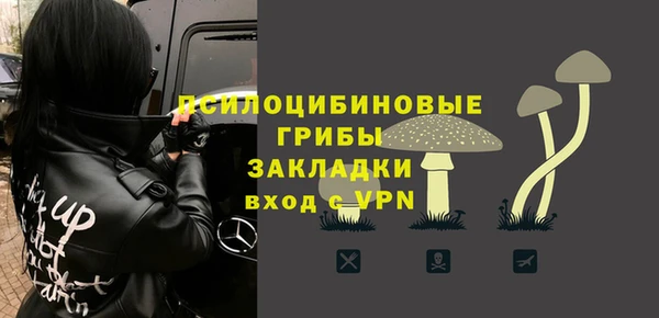соль курить ск Горняк