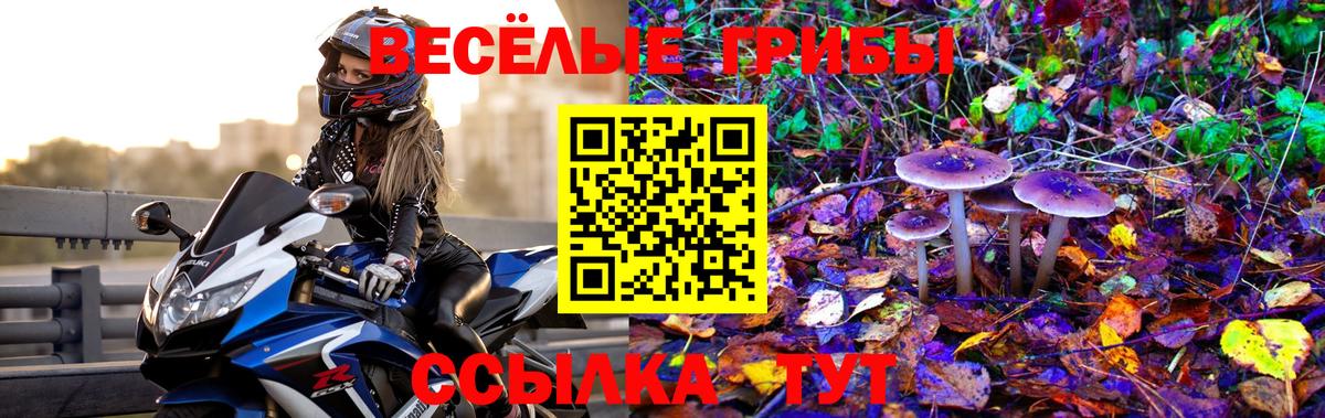 Гуково  Псилоцибиновые грибы Psilocybe  Вход с VPN 