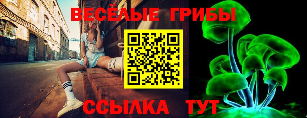 Псилоцибиновые грибы прущие грибы Гуково
