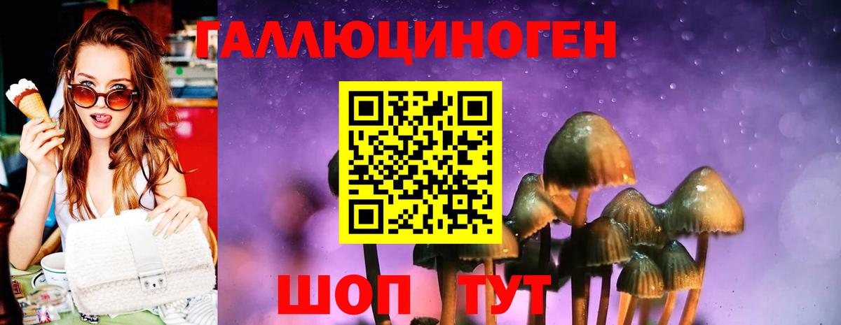 Псилоцибиновые грибы Magic Shrooms  где продают   Гуково 